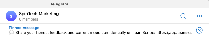 Pinned message with a team URL in Telegram